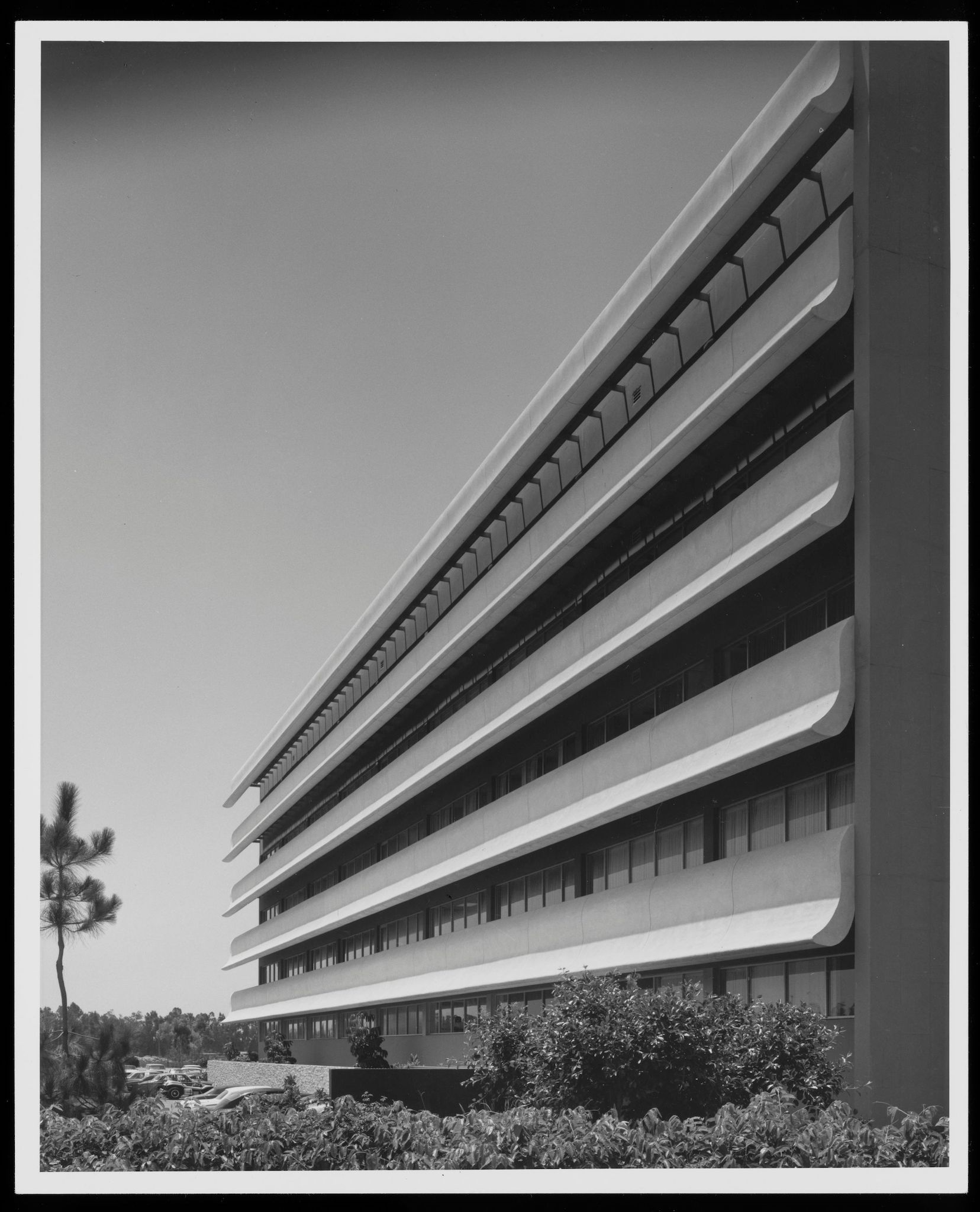 La Veta Medical Building Neutra Institute for Survival Through Design